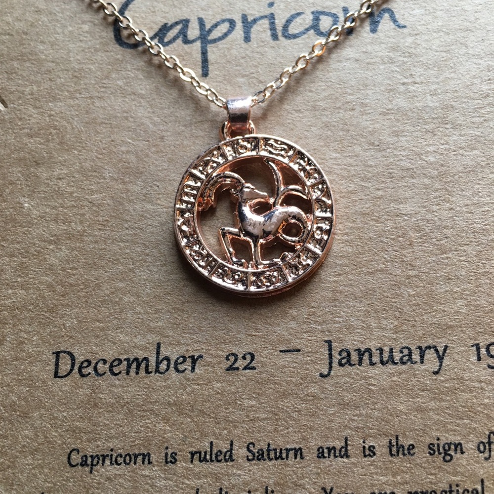 Capricorn zodiac necklace 3/$25